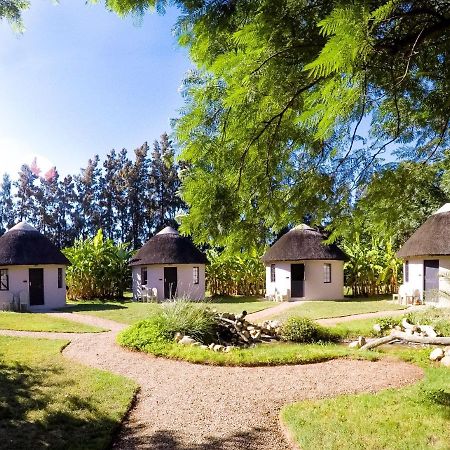 Addo African Home エクステリア 写真