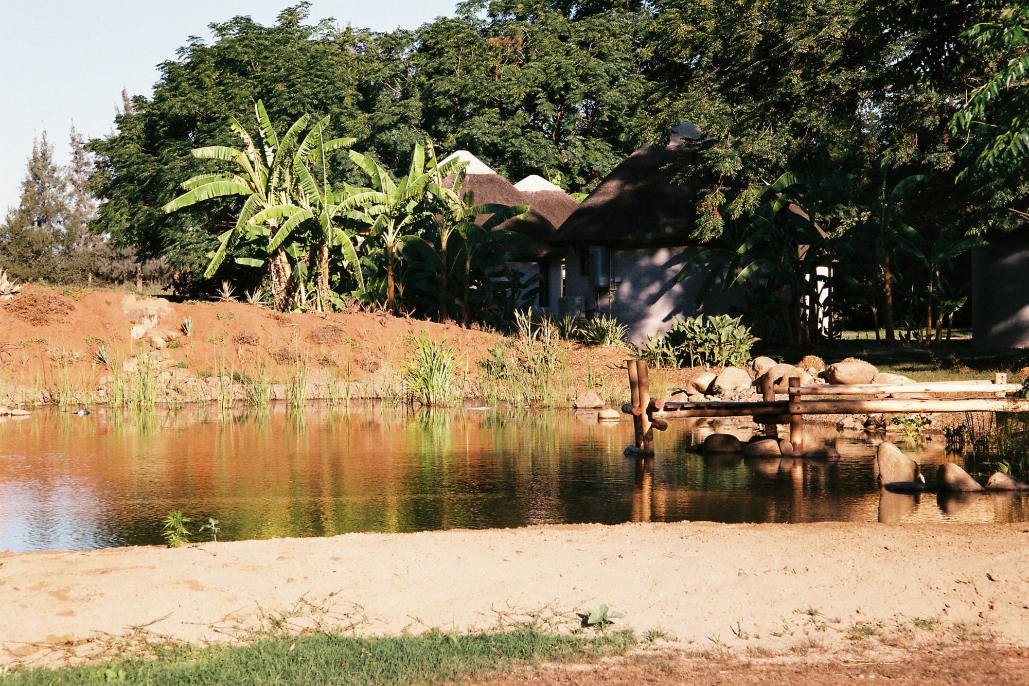 Addo African Home エクステリア 写真