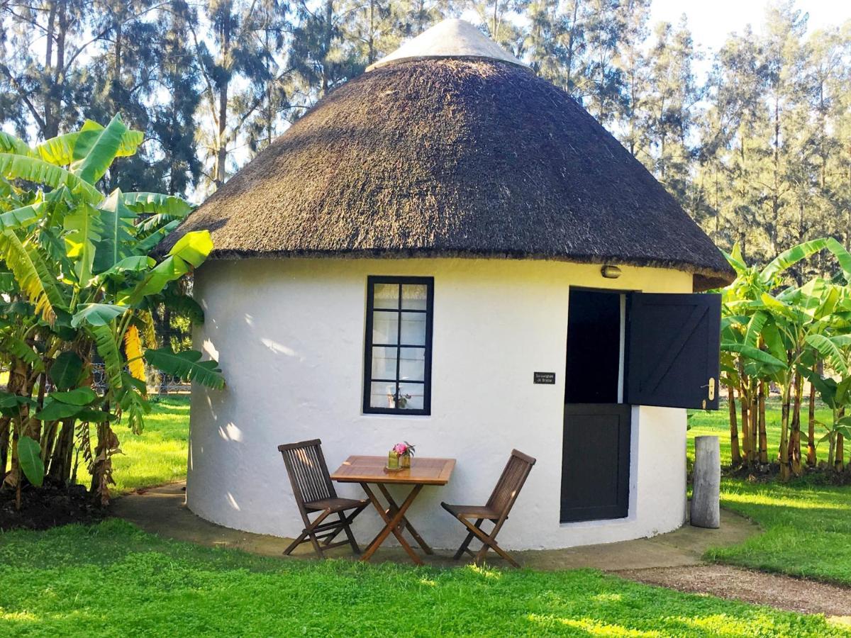 Addo African Home エクステリア 写真